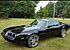 1981 Pontiac Firebird for sale 101043607